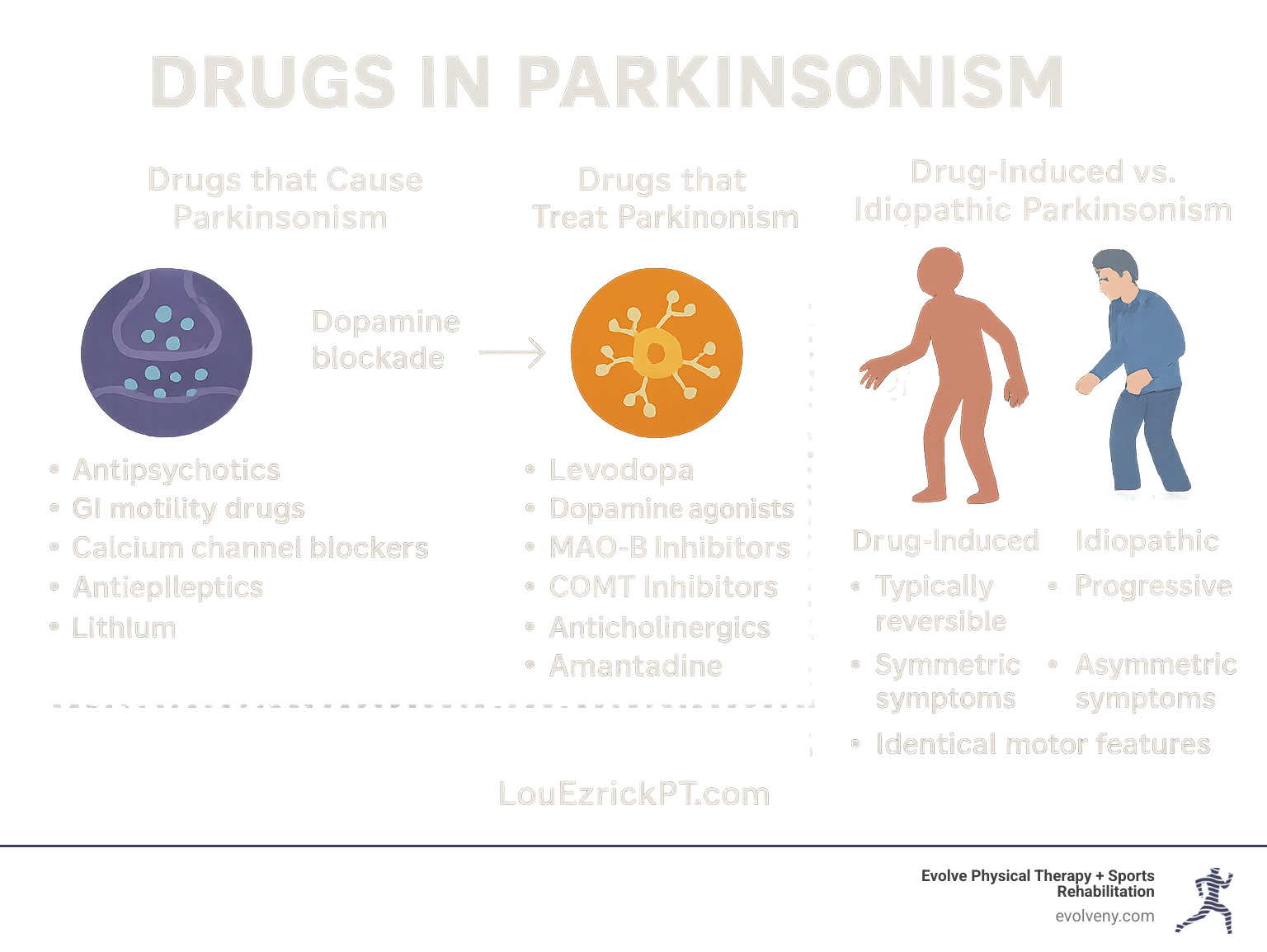 Comprehensive overview of drugs that cause and treat parkinsonism, showing mechanism of action, common examples, and key characteristics of drug-induced vs. idiopathic parkinsonism - drugs in parkinsonism infographic 