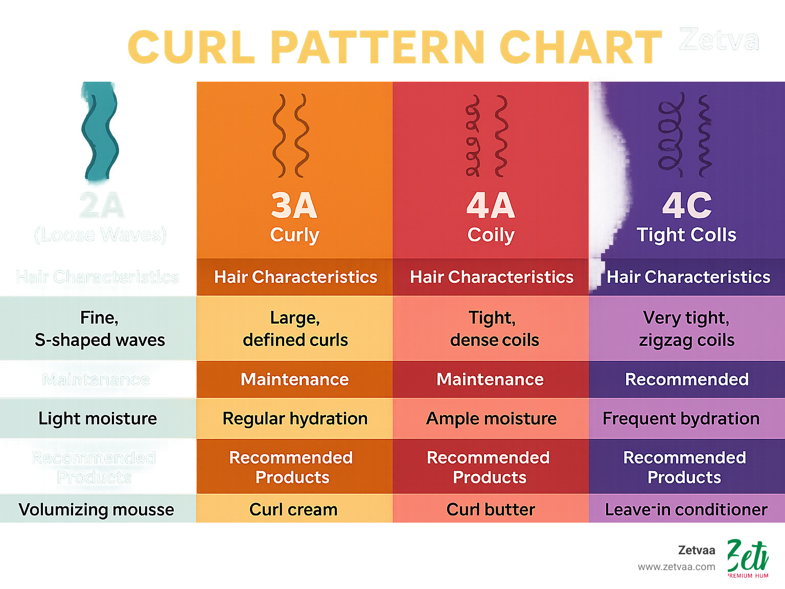 Curl pattern chart showing different curl types from 2A (loose waves) to 4C (tight coils) with corresponding hair characteristics, maintenance needs, and recommended products for each type - Curly Human Hair infographic