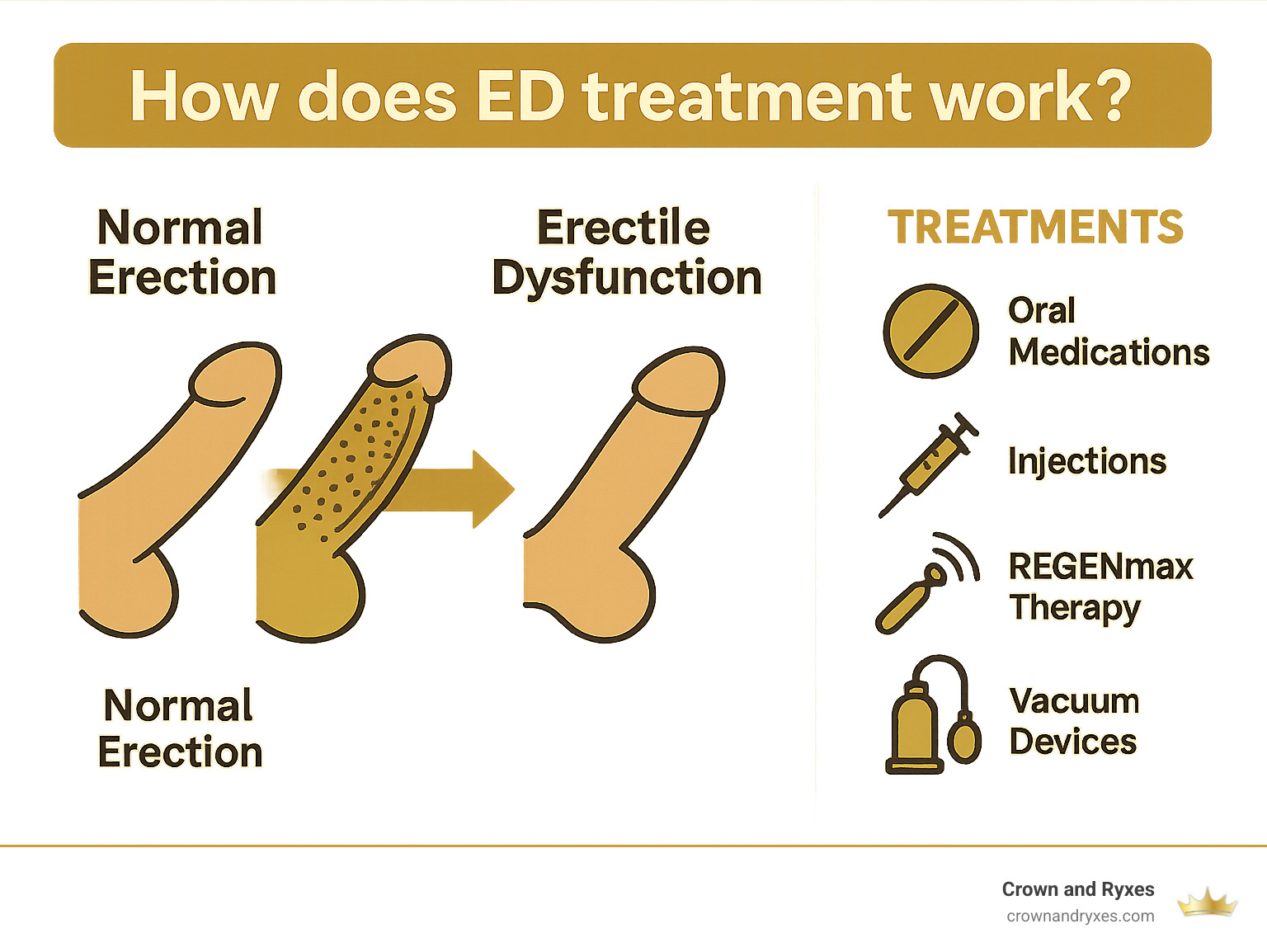 Diagram showing normal erection process vs erectile dysfunction and how treatments work - How does ED treatment work? infographic