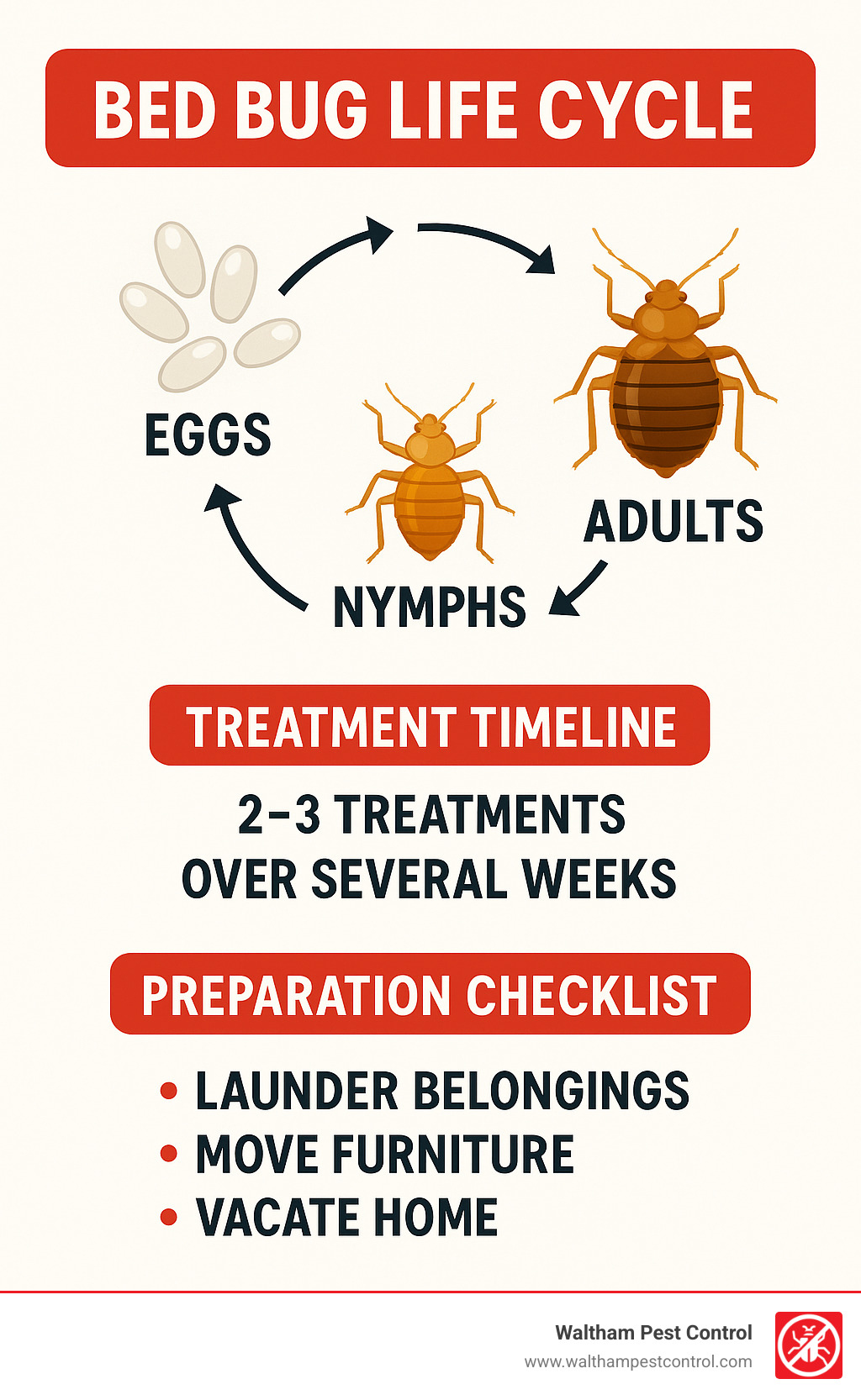 Bed bug life cycle showing eggs, nymphs, and adults with treatment timeline and preparation checklist - bed bug exterminator near me infographic 