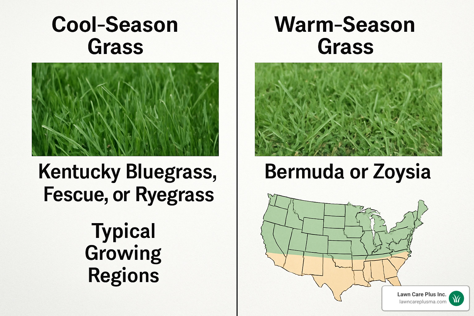 cool season versus warm season grass types - spring lawn care