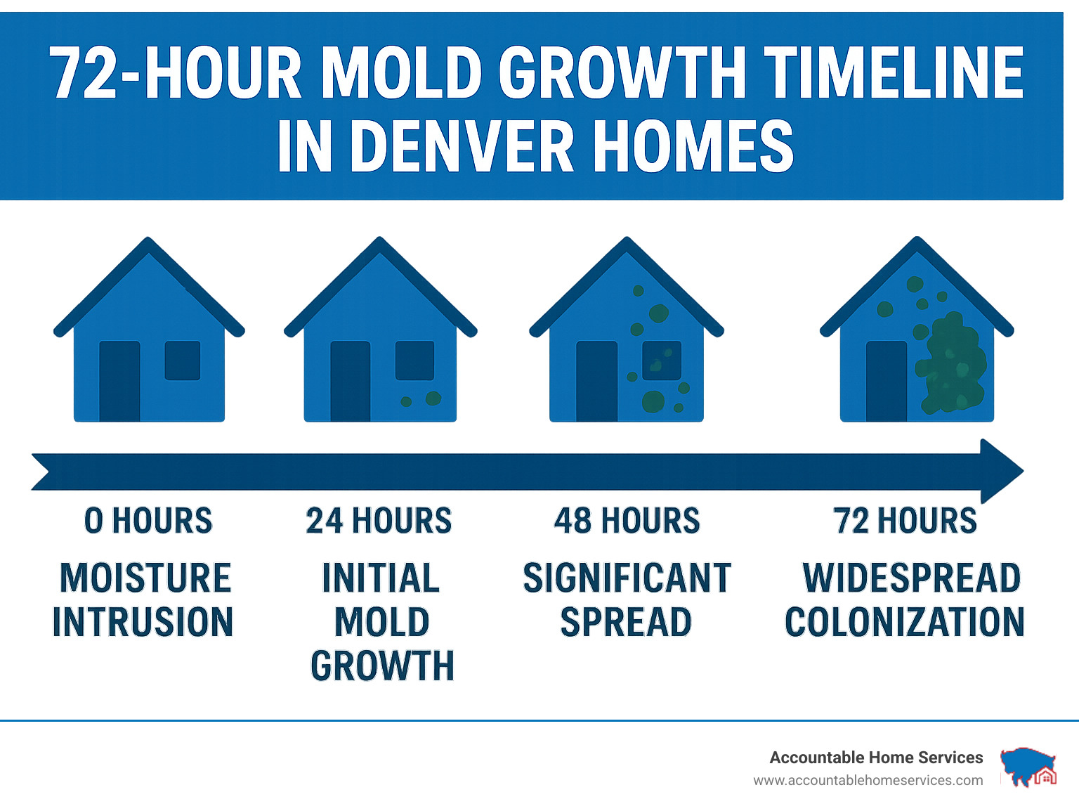 72-Hour Mold Growth Timeline in Denver Homes - mold remediation services denver infographic 