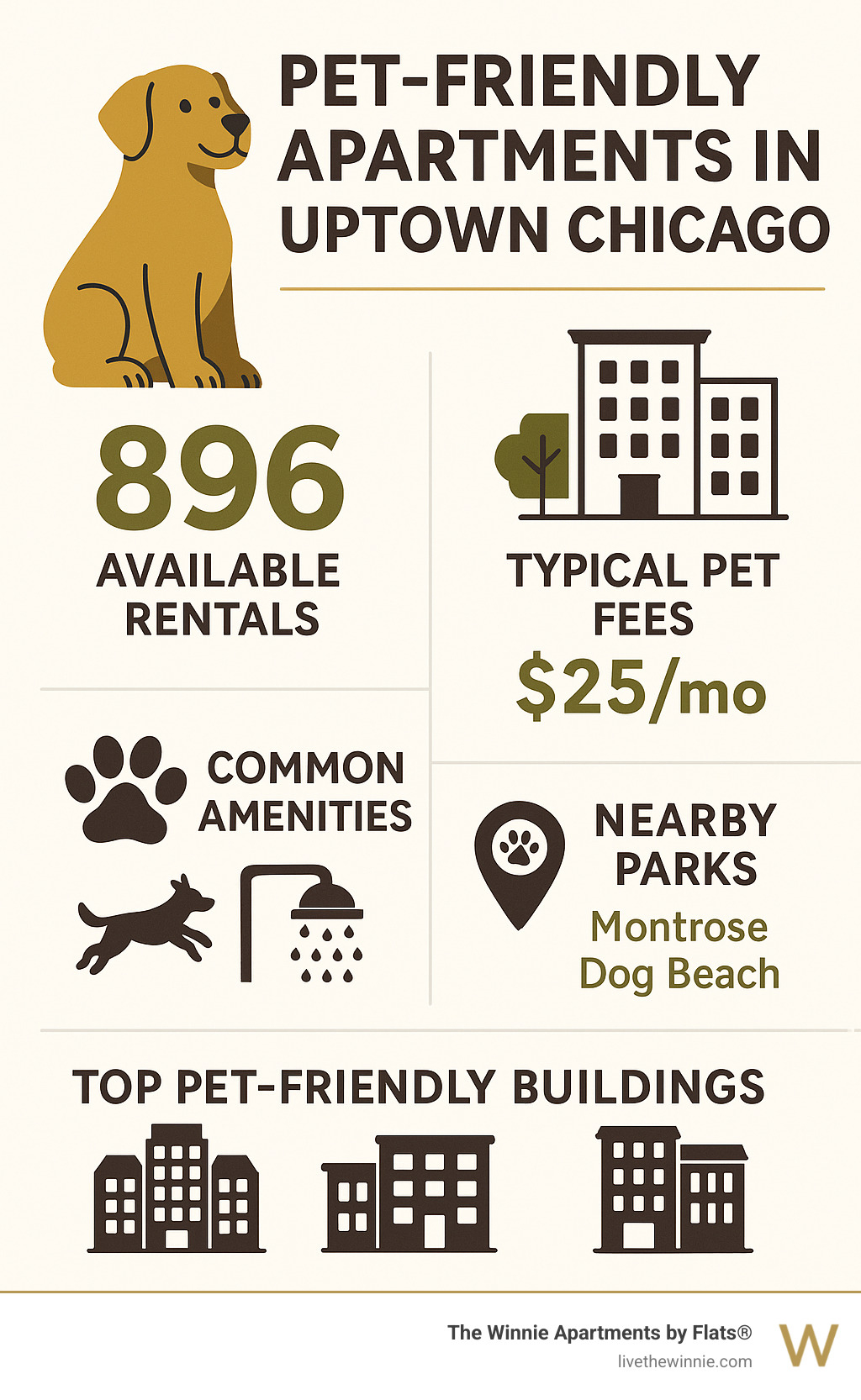 Infographic showing Uptown Chicago pet-friendly apartment statistics including number of available rentals, average pet fees, common amenities like dog runs and pet spas, nearby parks including Montrose Dog Beach, and top pet-friendly buildings in the neighborhood - pet friendly apartments in uptown chicago infographic 