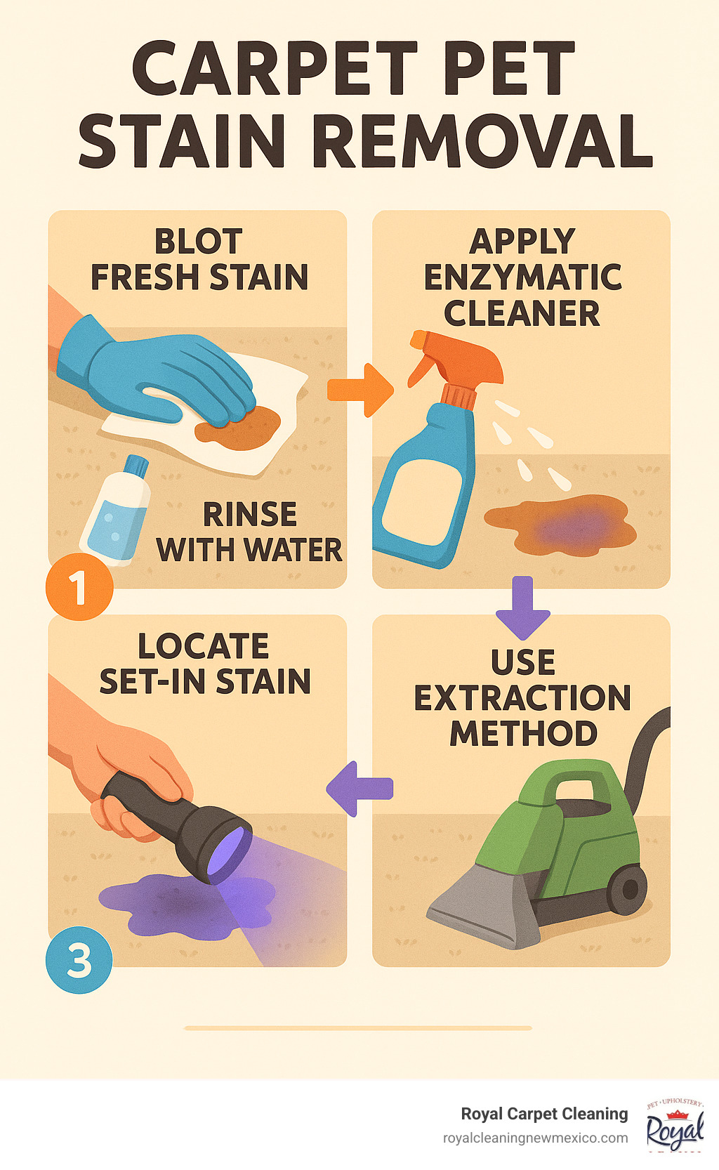 Step-by-step process for removing pet stains from carpet, showing the progression from blotting fresh stains, applying enzymatic cleaner, treating set-in stains with black light detection, and using extraction methods for deep cleaning - carpet pet stain removal infographic 