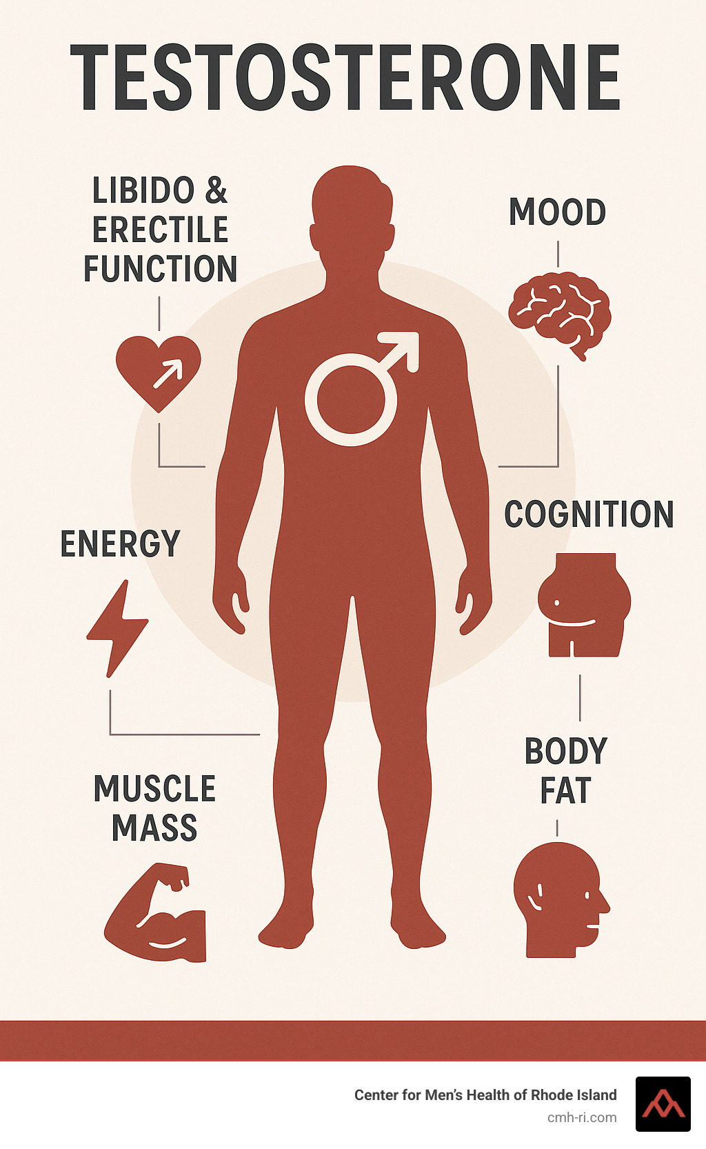 Diagram showing the effects of testosterone on various body systems and functions - ed treatment near me infographic 