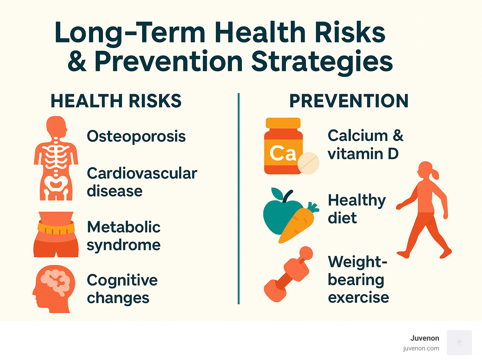 Long-term health risks associated with menopause and prevention strategies - menopause system management infographic 