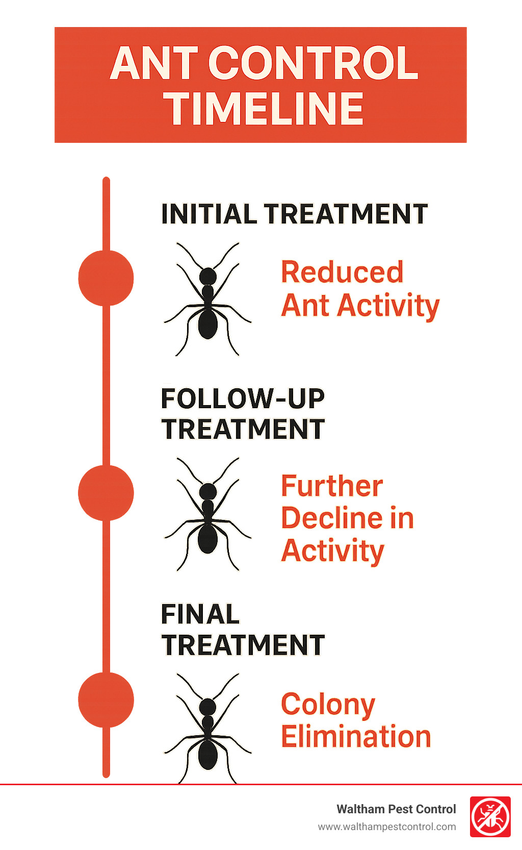 ant control timeline showing treatment phases and expected results - ant exterminator cost infographic