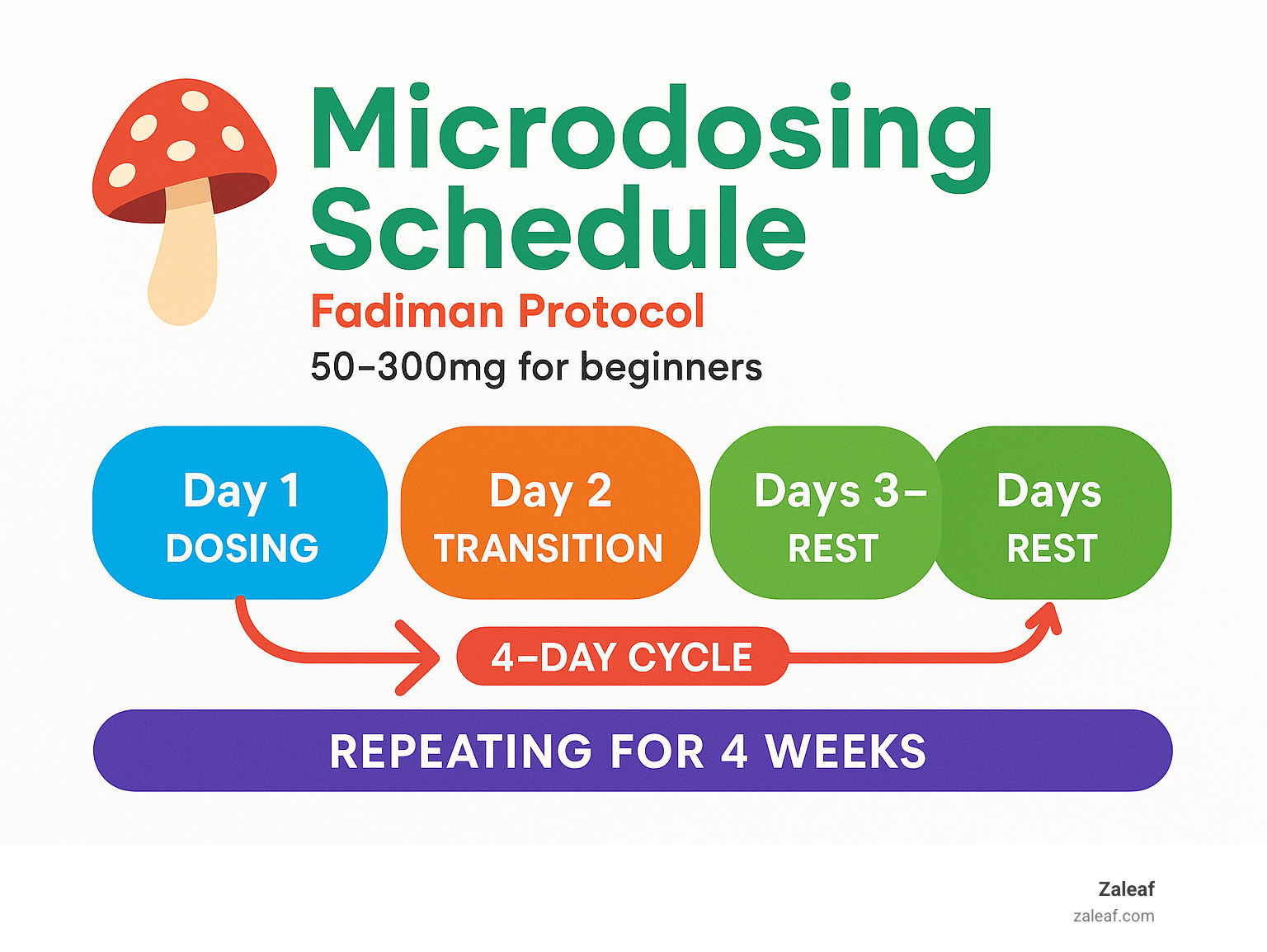 Microdosing schedule showing the Fadiman Protocol with dosing days (Day 1), transition days (Day 2), and rest days (Days 3-4) in a repeating 4-day cycle over 4 weeks, with recommended dosages of 50-300mg for beginners - buy microdosing ohio infographic 