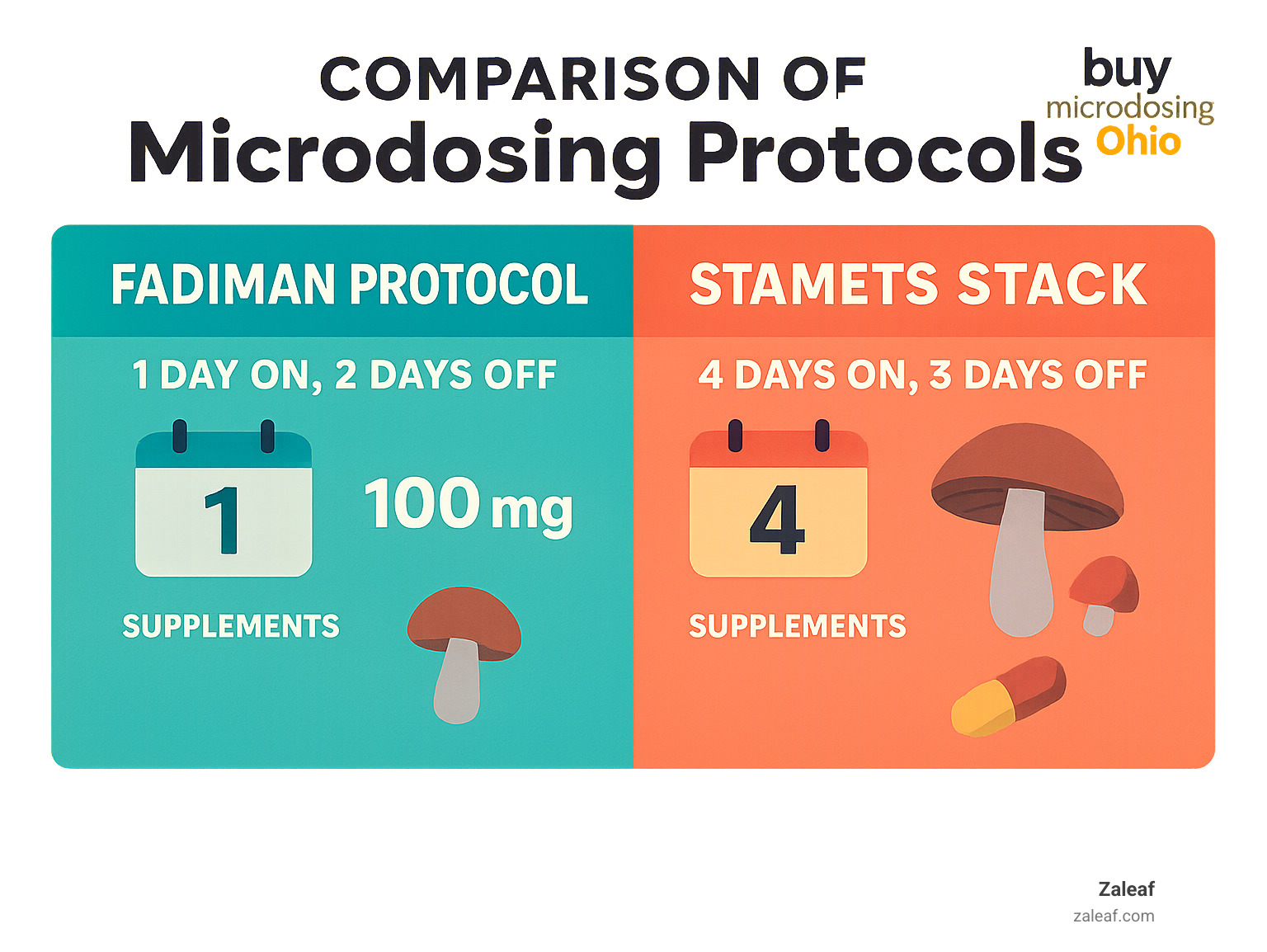Comparison of Fadiman Protocol (1 day on, 2 days off) versus Stamets Stack Protocol (4 days on, 3 days off) with dosage recommendations and supplement combinations - buy microdosing ohio infographic 