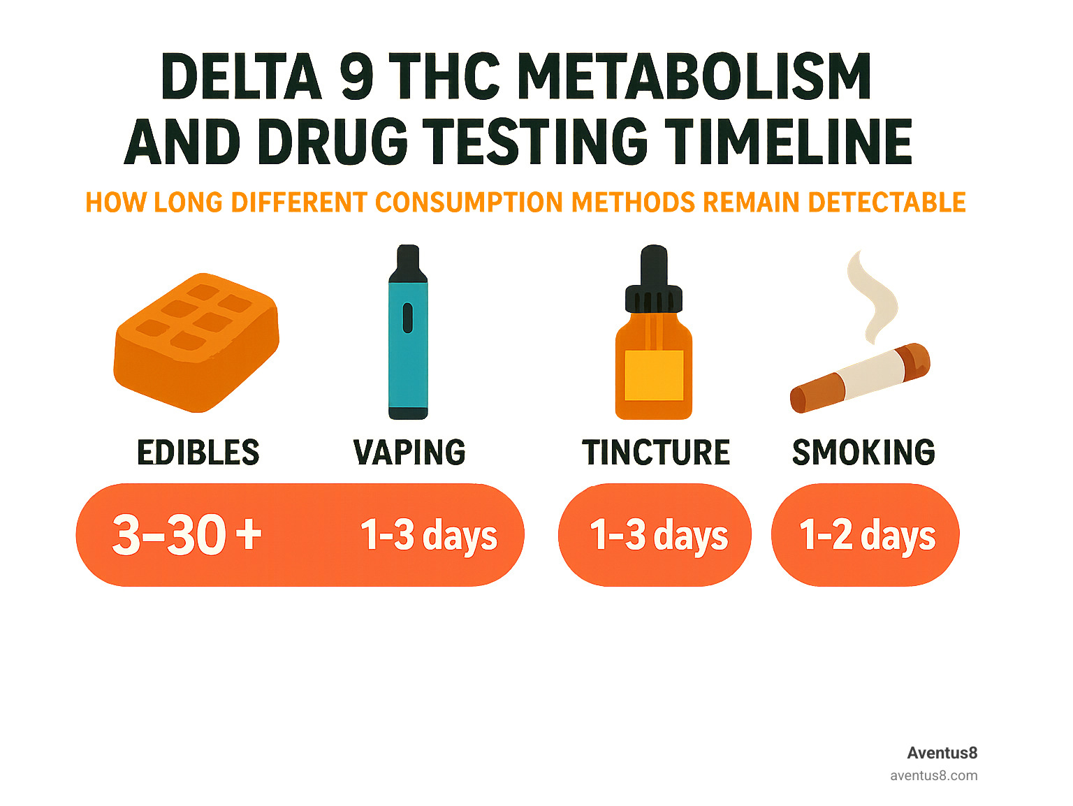 Cronología del metabolismo del delta 9 THC y las pruebas de drogas que muestra cuánto tiempo permanecen detectables los diferentes métodos de consumo - infografía delta 9 de 3chi
