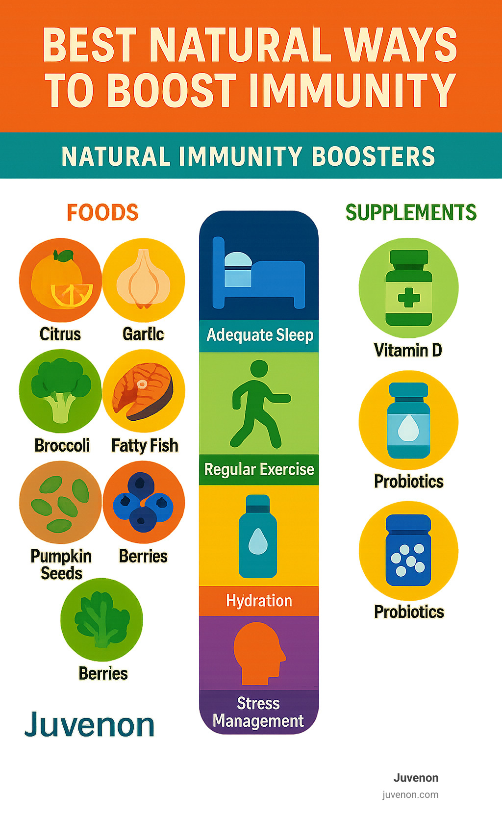 Comprehensive overview of natural immunity boosters showing foods, lifestyle habits, and supplements with their immune benefits - best natural ways to boost immunity infographic 