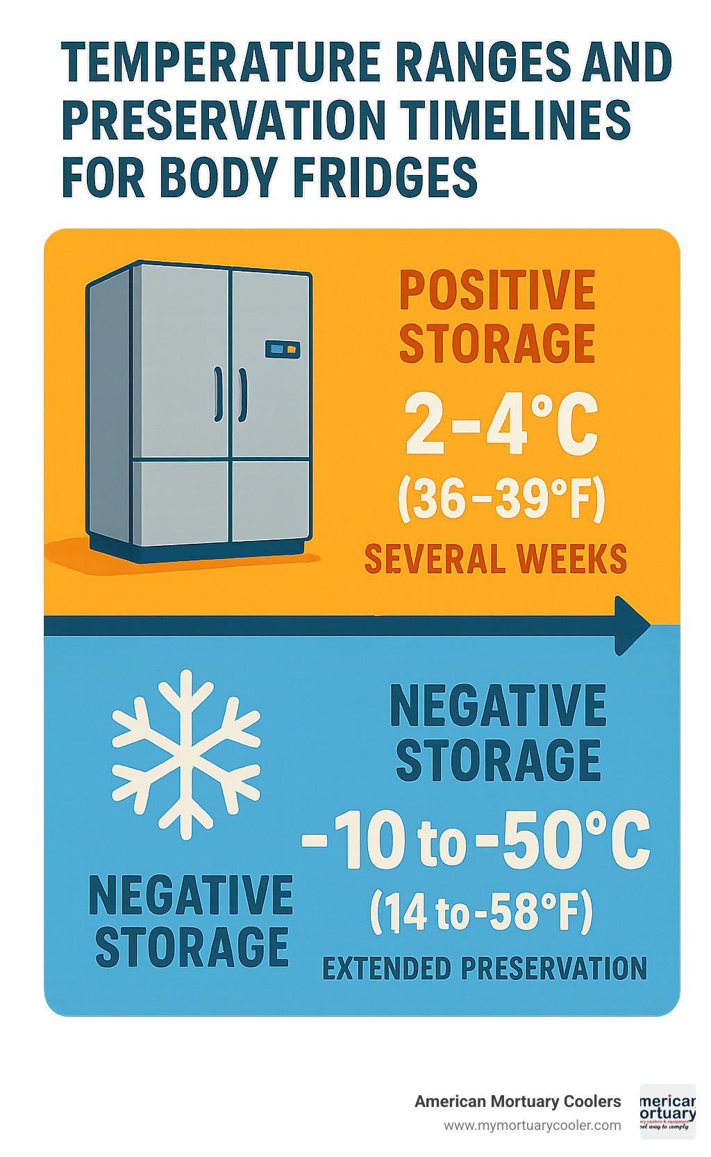 Temperature ranges and preservation timelines for body fridges showing positive storage at 2-4°C for several weeks and negative storage at -10 to -50°C for extended preservation - body fridges infographic 