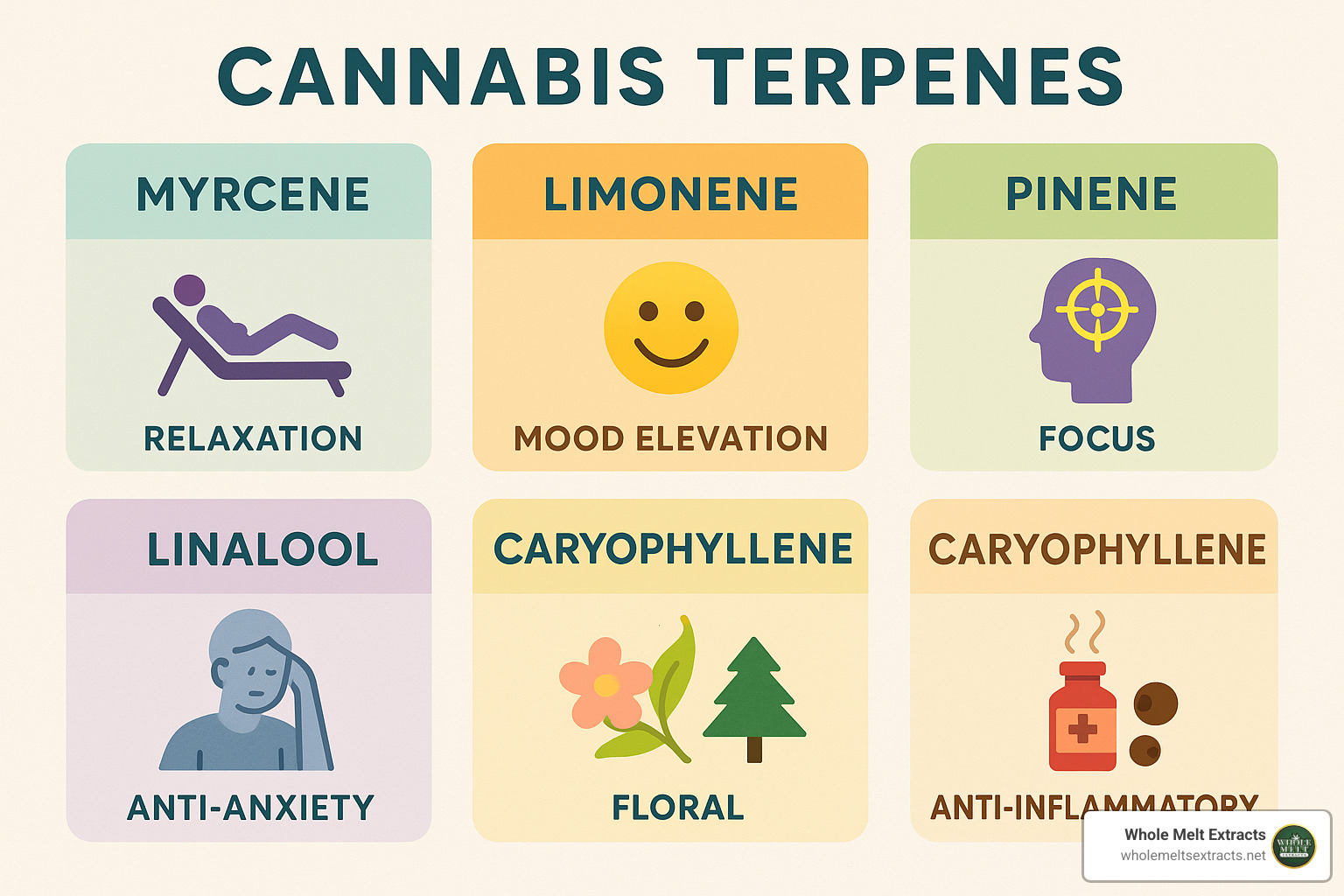 terpene chart showing different terpenes and their effects in cannabis strains - live resin sugar