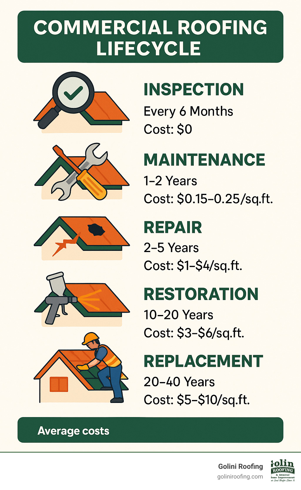 Commercial roofing lifecycle showing inspection, maintenance, repair, restoration and replacement options with average costs and timing for each phase - commercial roofing company reading ma infographic