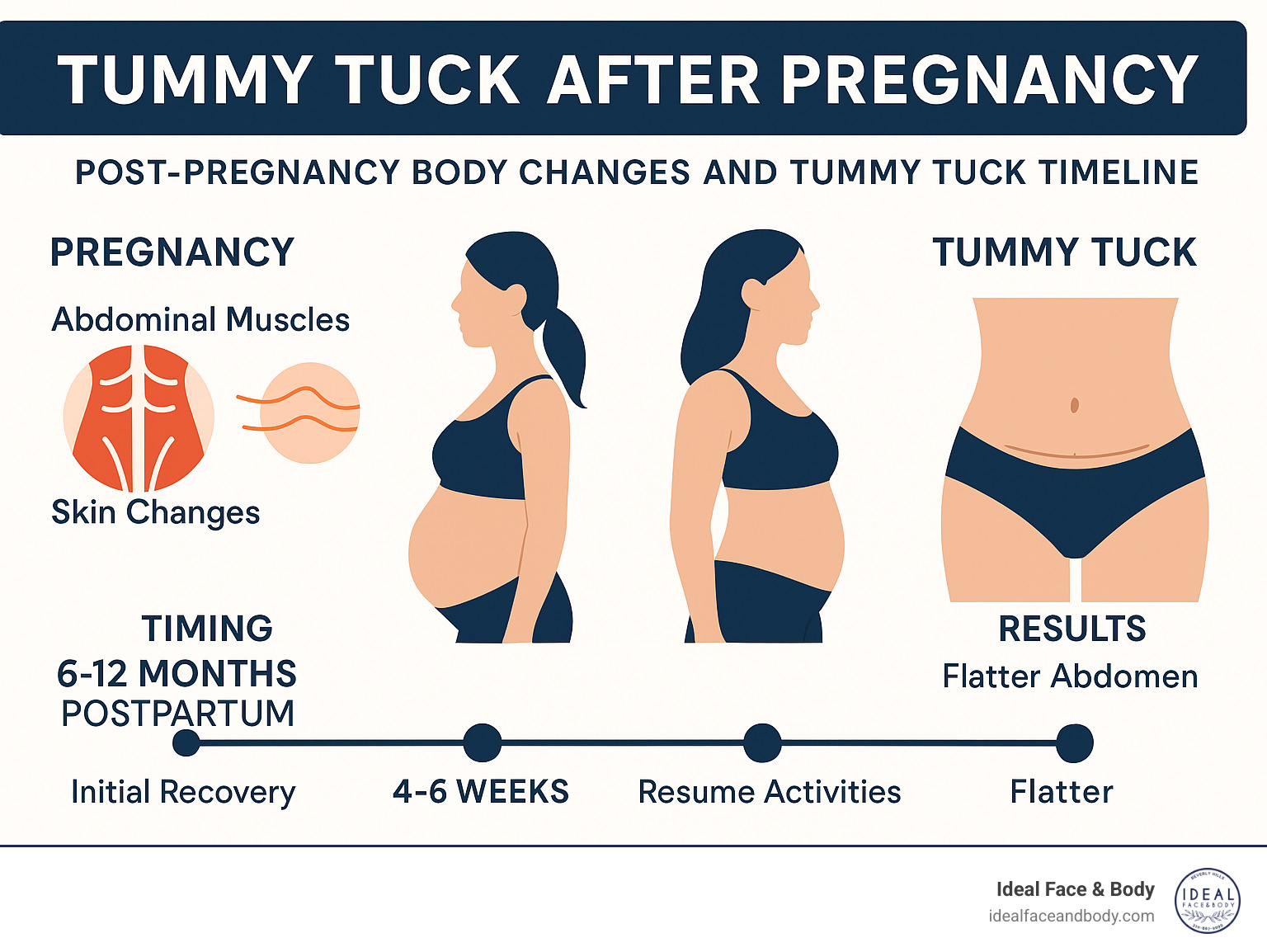 Post-pregnancy body changes and tummy tuck timeline showing pregnancy effects on abdominal muscles, skin changes, and optimal surgical timing at 6-12 months postpartum, with expected recovery milestones and results - Tummy tuck after pregnancy infographic 