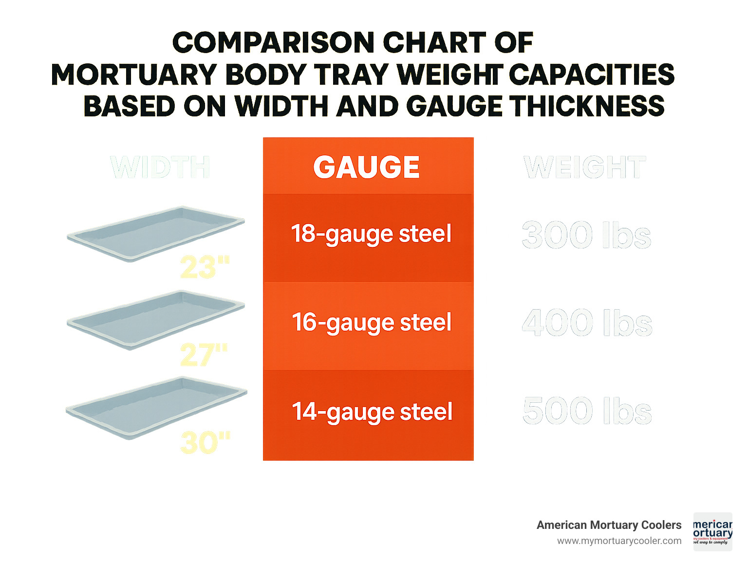 Comparison chart of mortuary body tray weight capacities based on width and gauge thickness - mortuary body trays infographic 