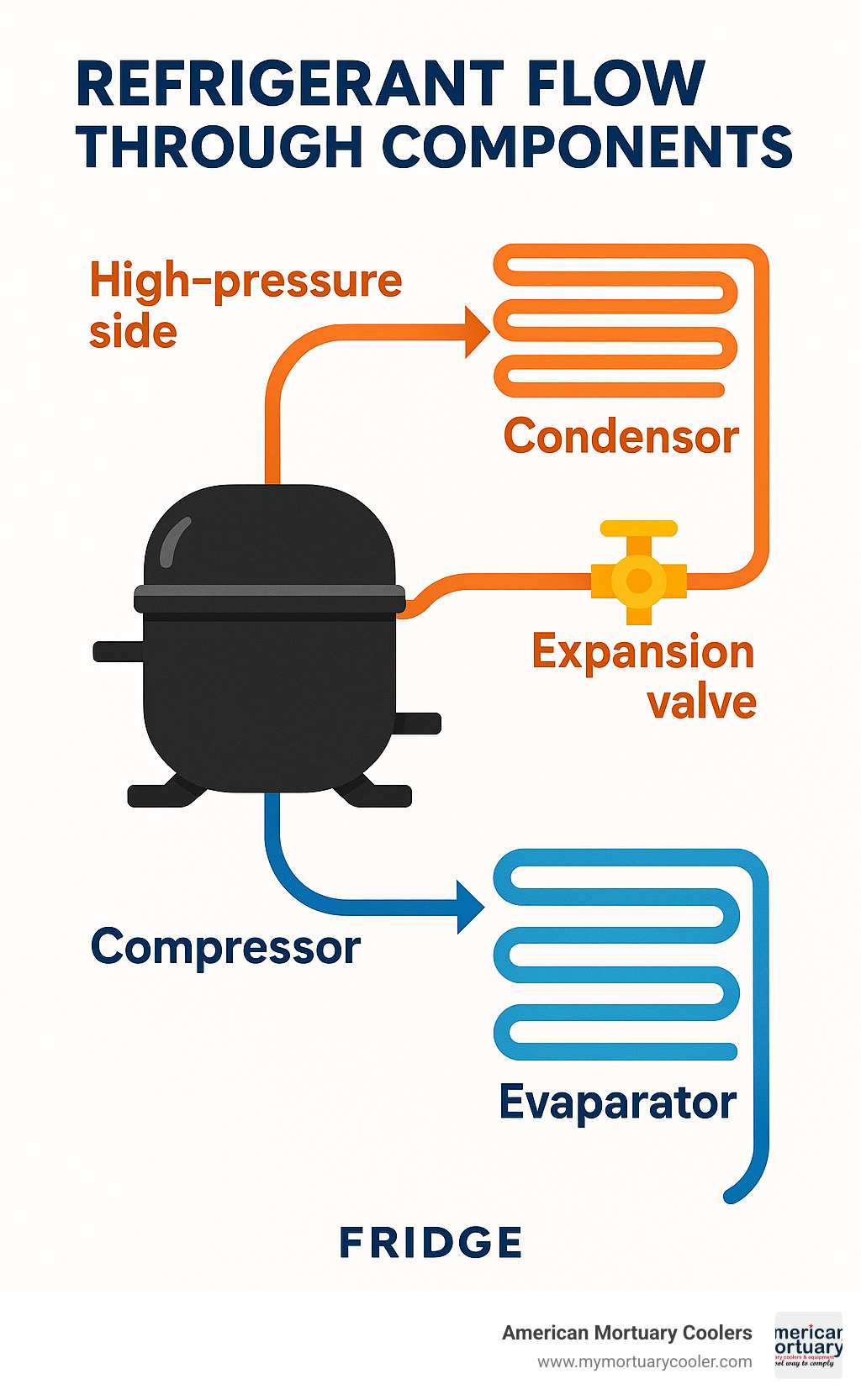 Diagram showing refrigerant flow through components - fridge compressor infographic 