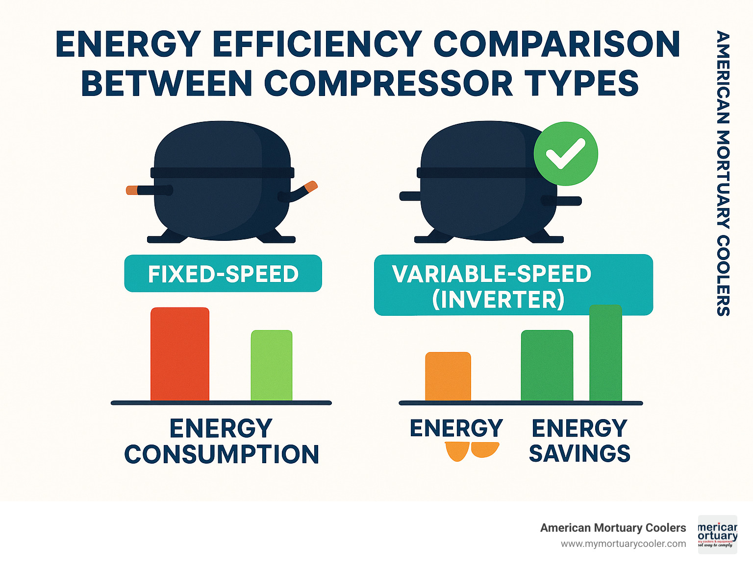 Energy efficiency comparison between compressor types - fridge compressor infographic 