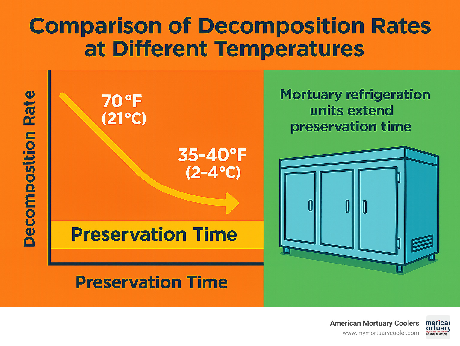 Comparison of decomposition rates at different temperatures showing how mortuary refrigeration units extend preservation time - mortuary refrigeration units infographic 