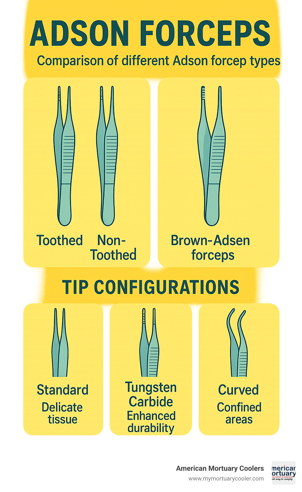 Comparison of different Adson forcep types showing toothed vs non-toothed variants, Brown-Adson model with multiple teeth patterns, and various tip configurations with their specific surgical applications - adison forcep infographic 