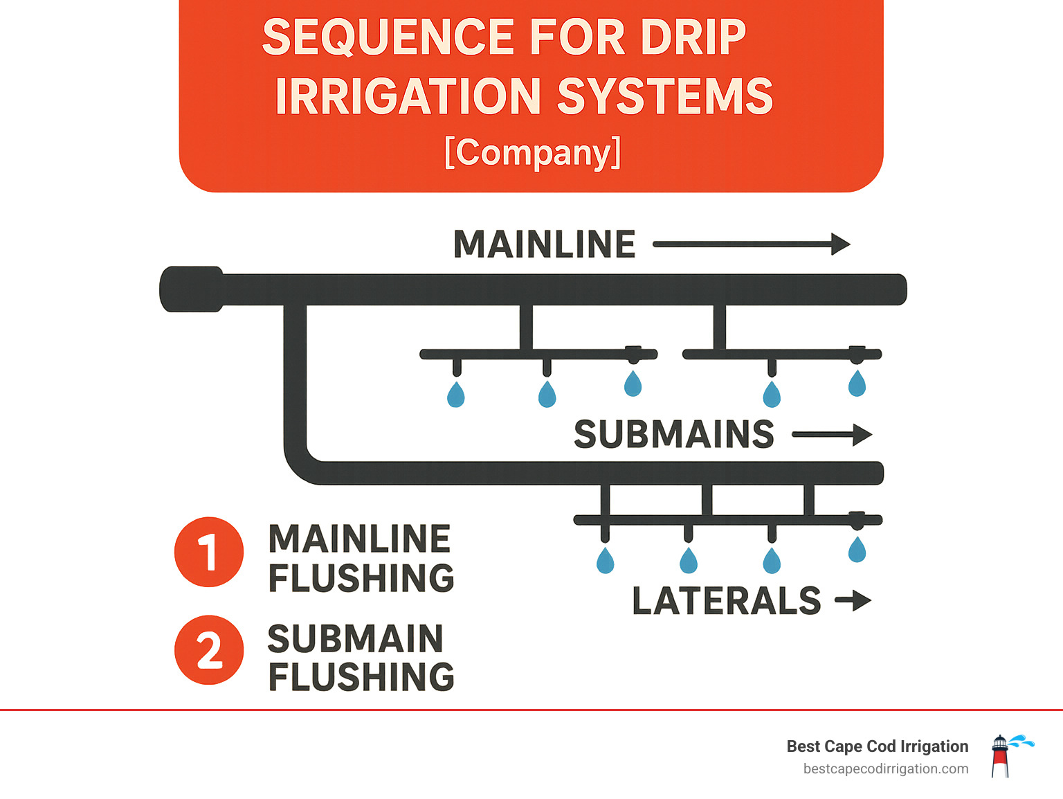 Diagram showing proper flushing sequence for drip irrigation systems - drip irrigation maintenance infographic