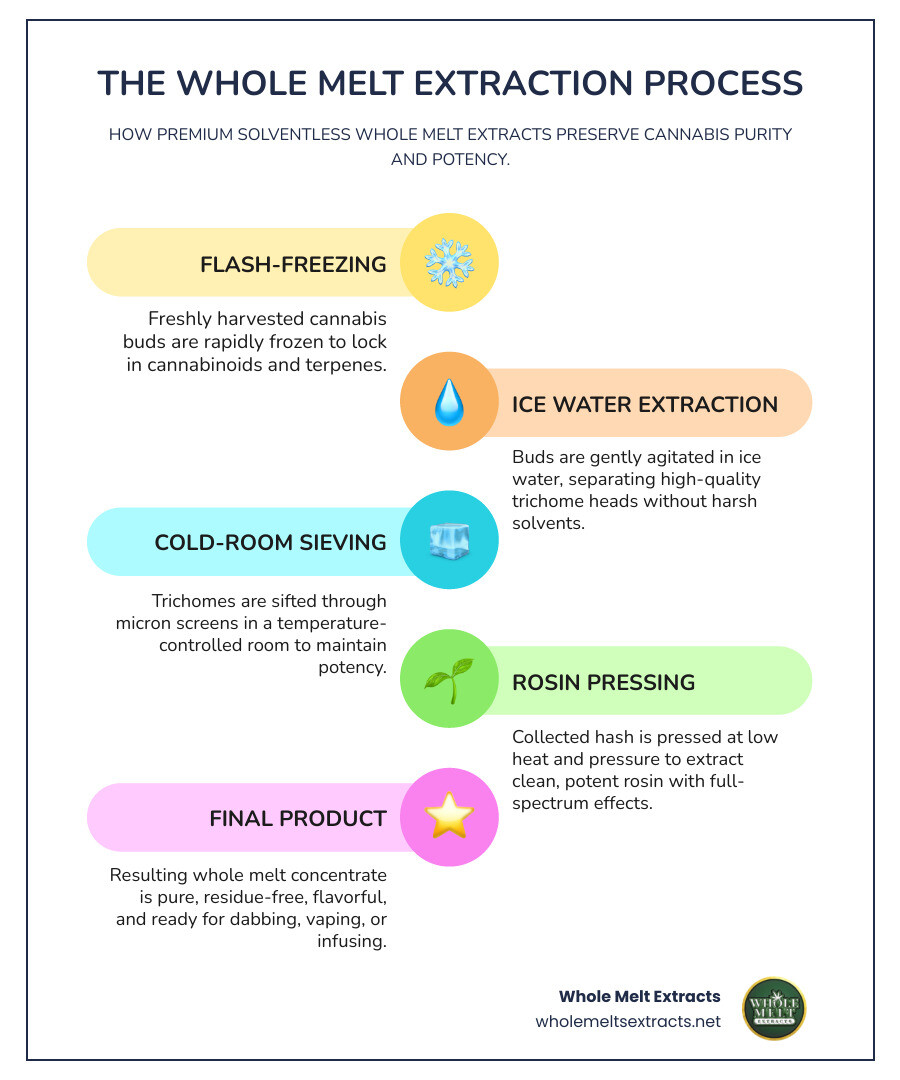 Whole Melt extraction process showing flash-frozen cannabis being processed through ice water extraction, then pressed with low heat to create solventless concentrate while preserving terpenes and cannabinoids - whole melt infographic infographic-line-5-steps-colors