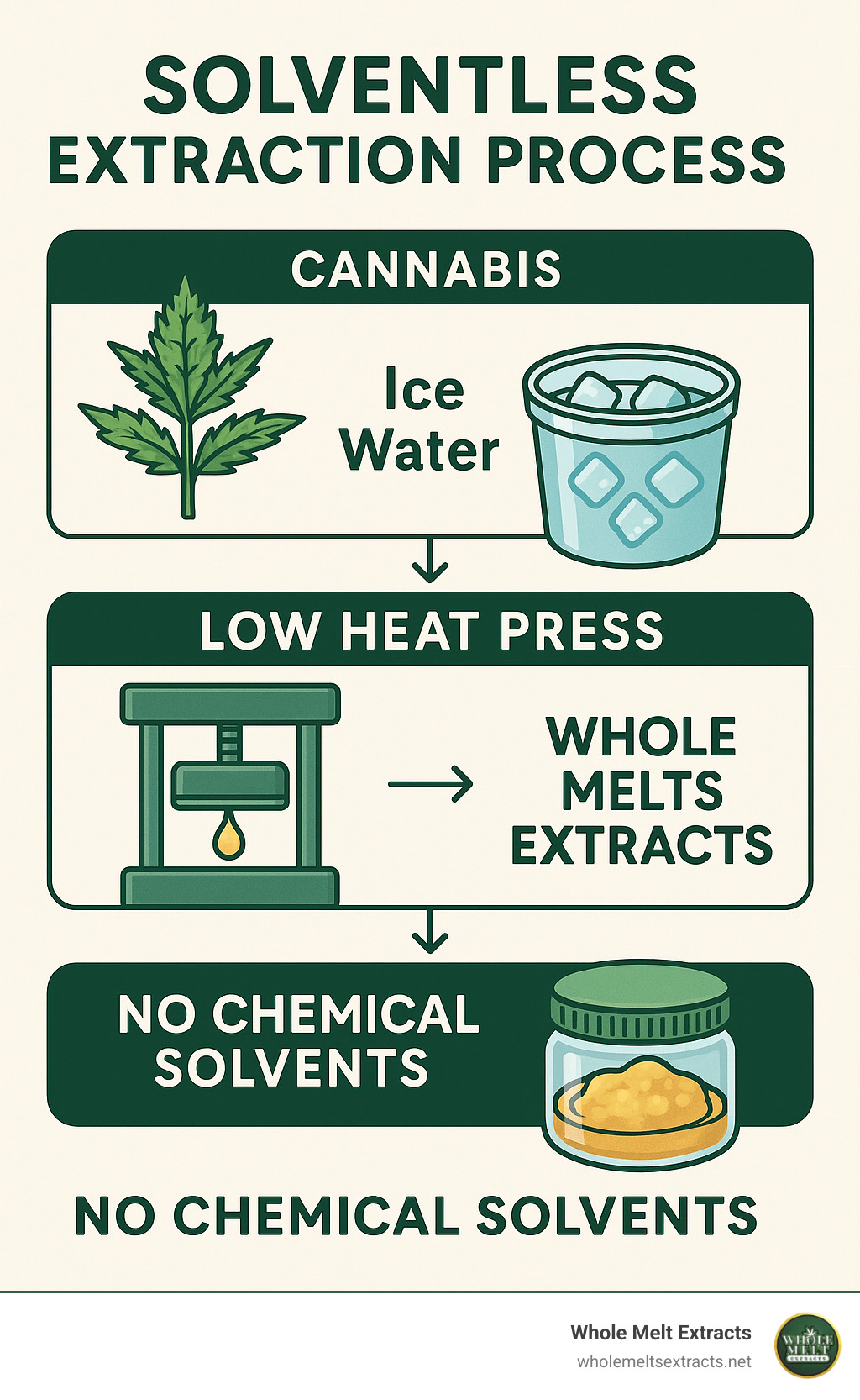 Solventless extraction process showing cannabis being processed with ice water, then pressed with low heat to create whole melts extracts with no chemical solvents - whole melts extracts infographic Solventless extraction process showing cannabis being processed with ice water, then pressed with low heat to create whole melts extracts with no chemical solvents - whole melts extracts infographic