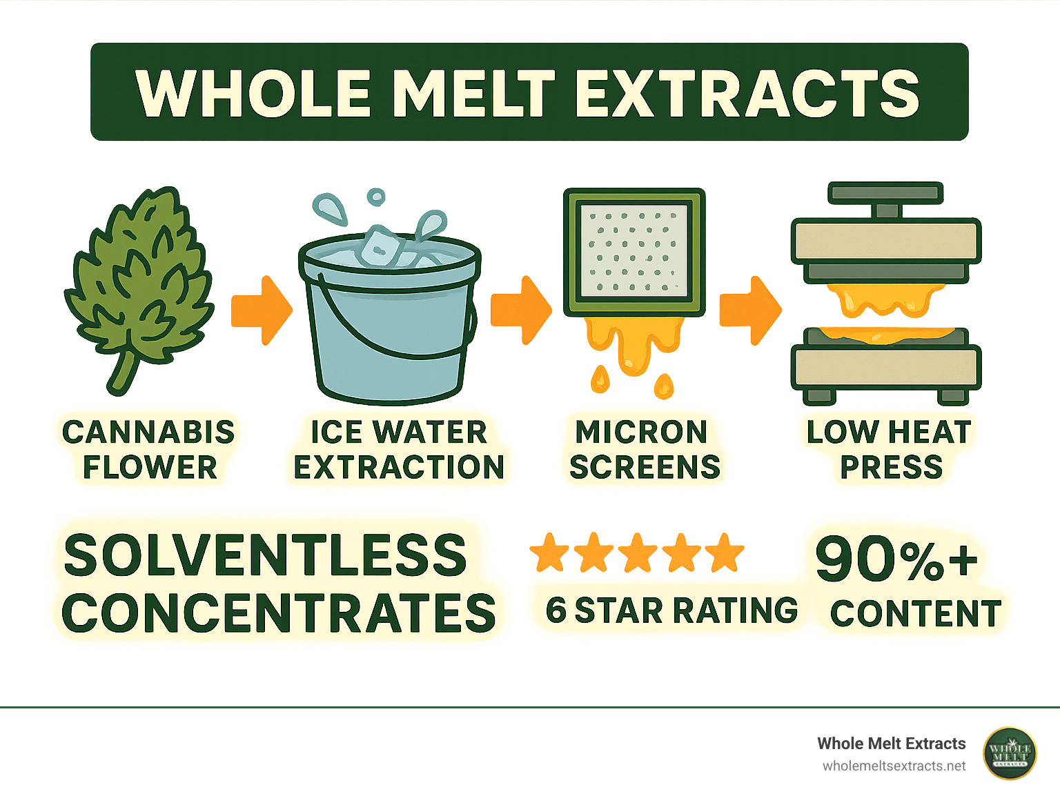 Whole Melt Extracts production process showing cannabis flower being processed through ice water extraction, filtered through micron screens, and gently pressed with low heat to create solventless concentrates with 5-6 star rating and 90%+ THC content - *whole melt extracts* infographic 
