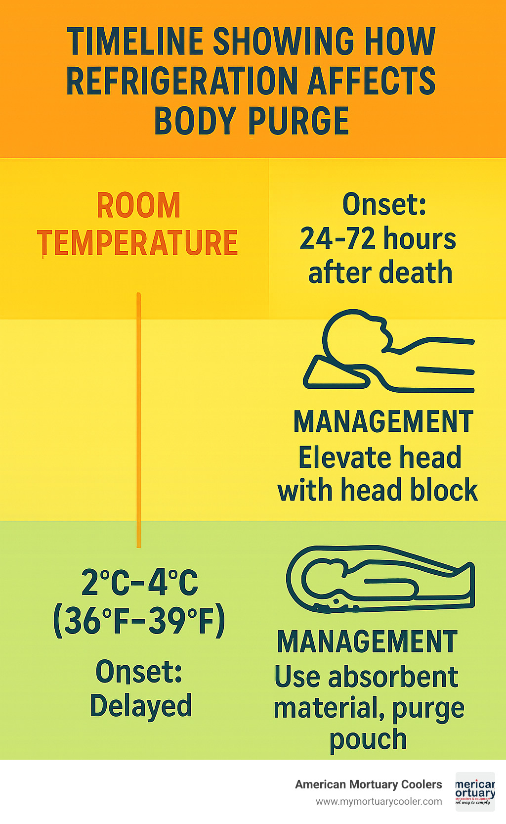 Timeline showing how refrigeration affects body purge with temperature ranges, onset times, and management techniques - body purge morgue refrigerator infographic 