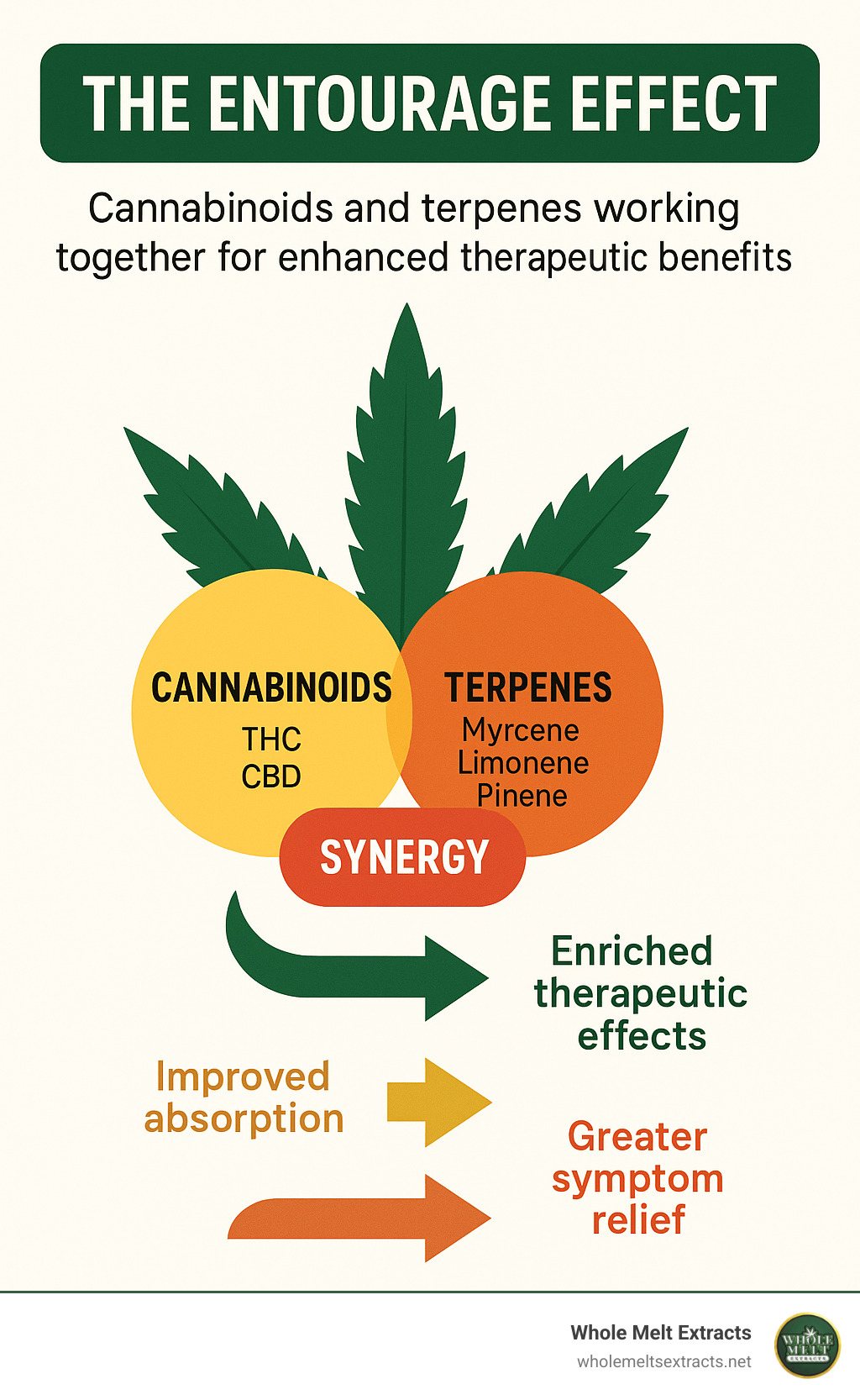 Detailed infographic showing the entourage effect with cannabinoids and terpenes working together for improved therapeutic benefits - live rosin cartridge infographic Detailed infographic showing the entourage effect with cannabinoids and terpenes working together for improved therapeutic benefits - live rosin cartridge infographic
