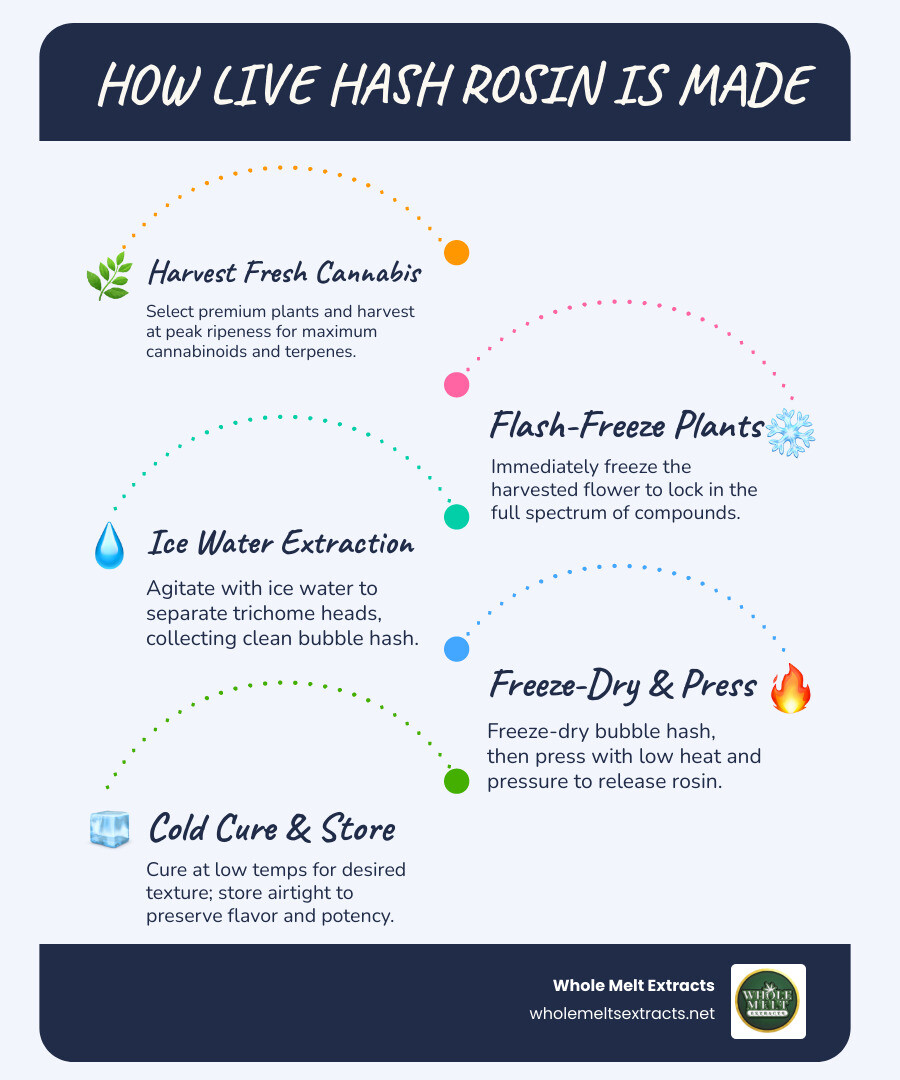 Step-by-step live hash rosin production process showing: 1) Fresh cannabis harvested 2) Plants immediately frozen 3) Ice water extraction separates trichomes 4) Bubble hash collected through micron filters 5) Freeze-drying removes moisture 6) Low heat and pressure applied to extract rosin 7) Final product cold-cured for optimal consistency - live hash rosin infographic infographic-line-5-steps-blues-accent_colors Step-by-step live hash rosin production process showing: 1) Fresh cannabis harvested 2) Plants immediately frozen 3) Ice water extraction separates trichomes 4) Bubble hash collected through micron filters 5) Freeze-drying removes moisture 6) Low heat and pressure applied to extract rosin 7) Final product cold-cured for optimal consistency - live hash rosin infographic infographic-line-5-steps-blues-accent_colors