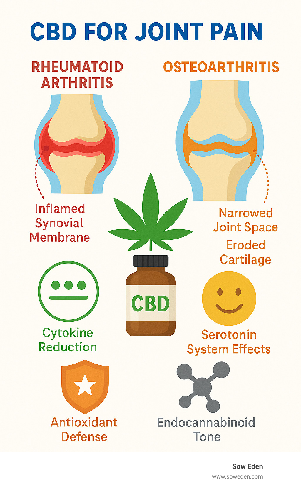 Infographic showing the difference between rheumatoid arthritis and osteoarthritis, and how CBD may influence different aspects of joint health - CBD capsules for joint pain infographic 