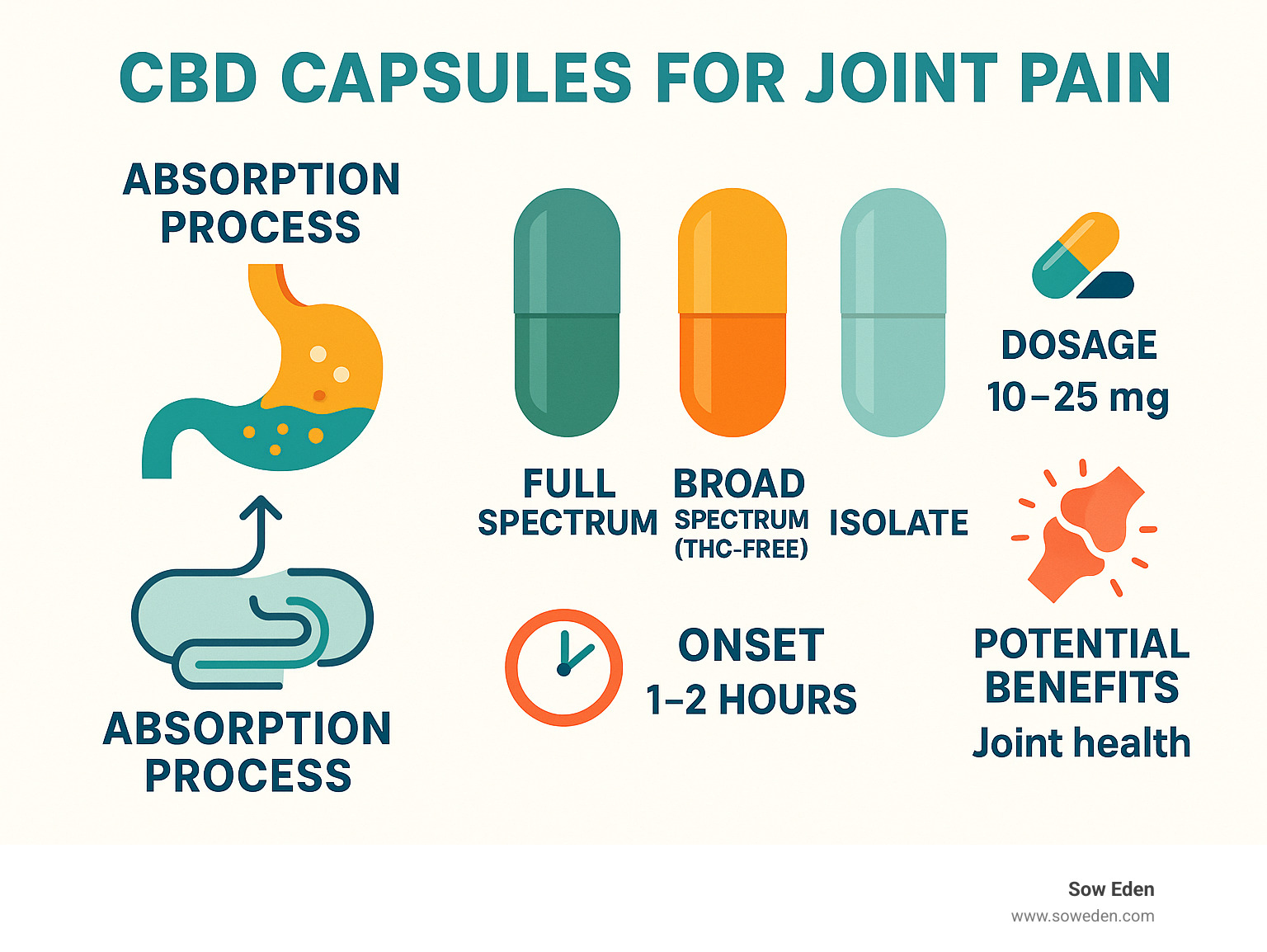 Infographic showing CBD capsule absorption process, types of CBD capsules for joint pain (full spectrum, broad spectrum, isolate), typical dosage ranges (10-25mg), onset timing (1-2 hours), and potential benefits for joint health - CBD capsules for joint pain infographic 