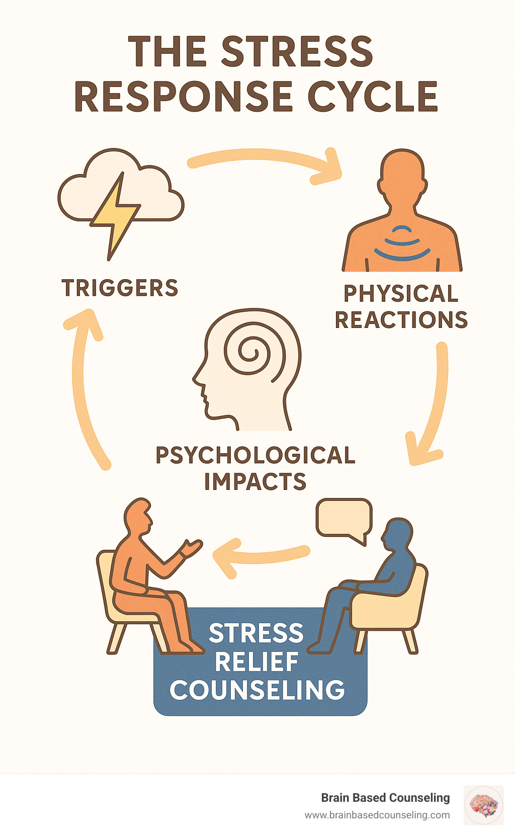 The stress response cycle showing triggers, physical reactions, psychological impacts, and intervention points for stress relief counseling - stress relief counseling infographic 