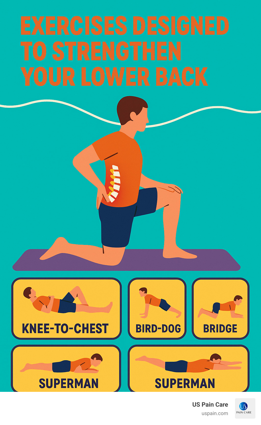 Exercises designed to strengthen your lower back. - lumbar facet joint pain infographic Exercises designed to strengthen your lower back. - lumbar facet joint pain infographic