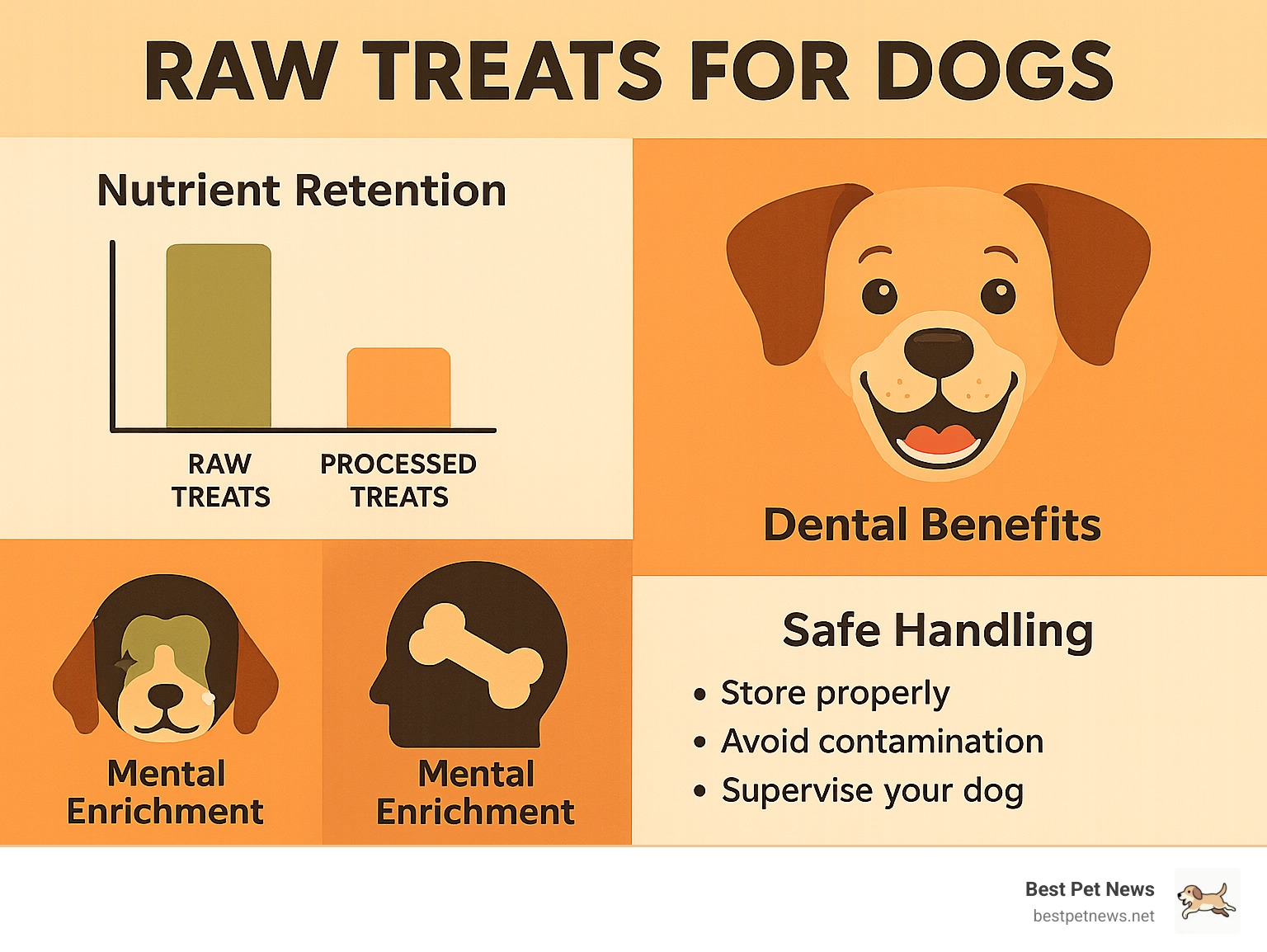 Infographic showing raw treats nutrient retention compared to processed treats, with dental benefits, mental enrichment value, and safety handling tips - raw treats for dogs infographic 