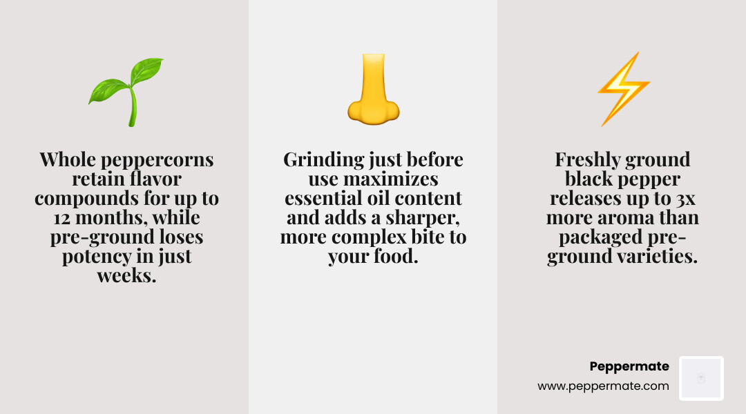 Infographic comparing whole pepper vs pre-ground: showing aroma retention and nutrient loss rates over time - best black pepper grinders infographic 3_facts_emoji_grey