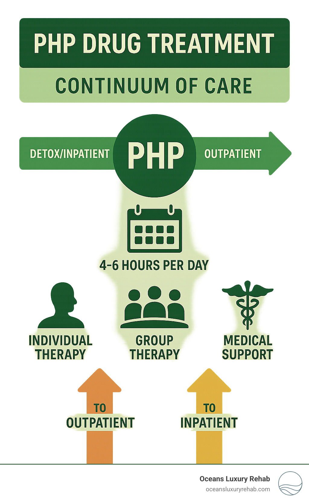 PHP Drug Treatment Continuum of Care showing the position of PHP between detox/inpatient and outpatient services, with daily schedule, therapy components, and transition pathways - php drug treatment infographic 