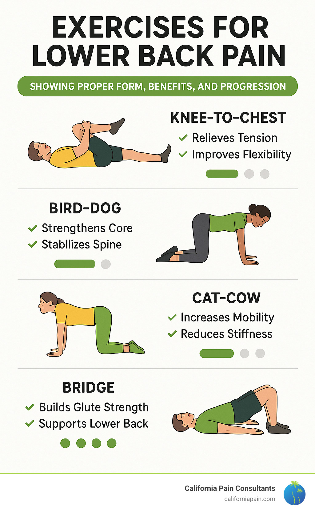 Exercises for lower back pain showing proper form, benefits, and progression levels - exercises for lower back pain infographic 