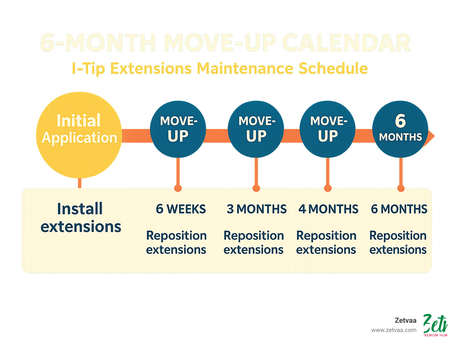 Infographic showing a 6-month move-up calendar with recommended maintenance schedule and what happens at each appointment - itip extensions care infographic 