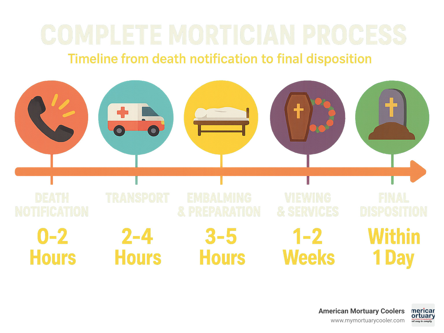 Timeline showing complete mortician process from death notification through final disposition, with average time requirements for each stage - what does a mortician do to the body infographic 
