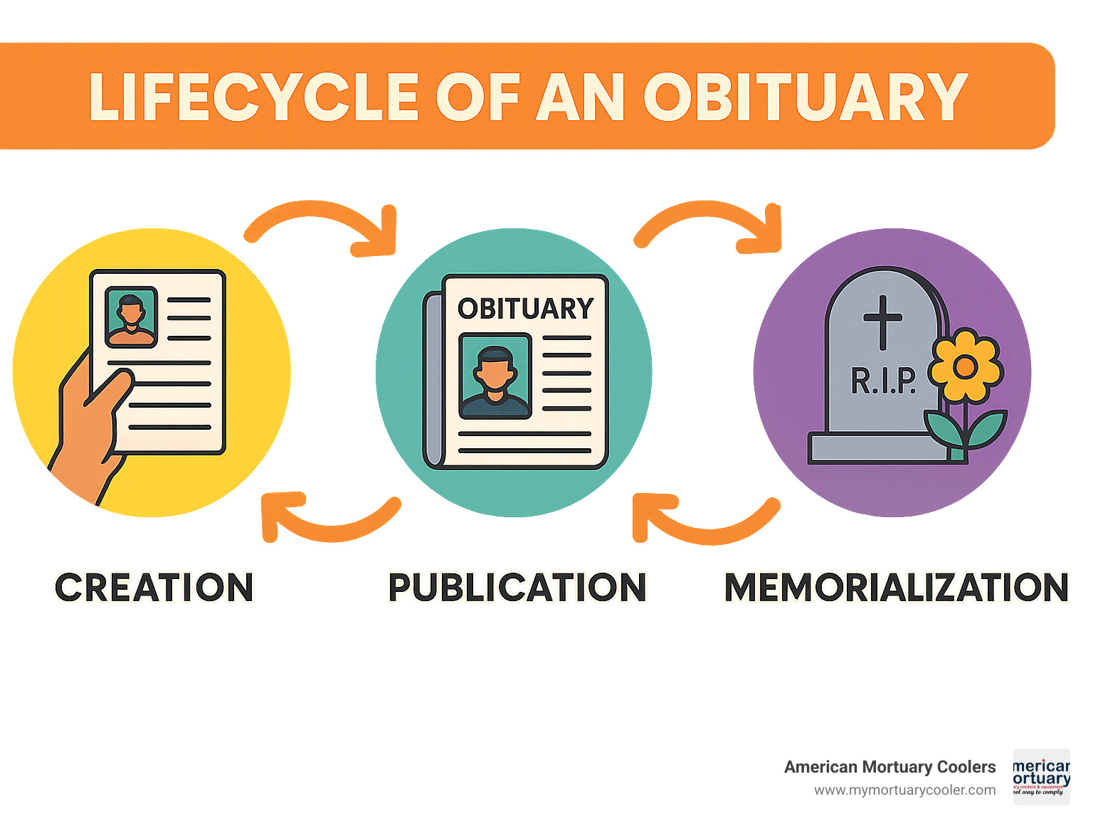 Lifecycle of an obituary from creation to publication to memorialization - american cremation & funeral service obituaries infographic 