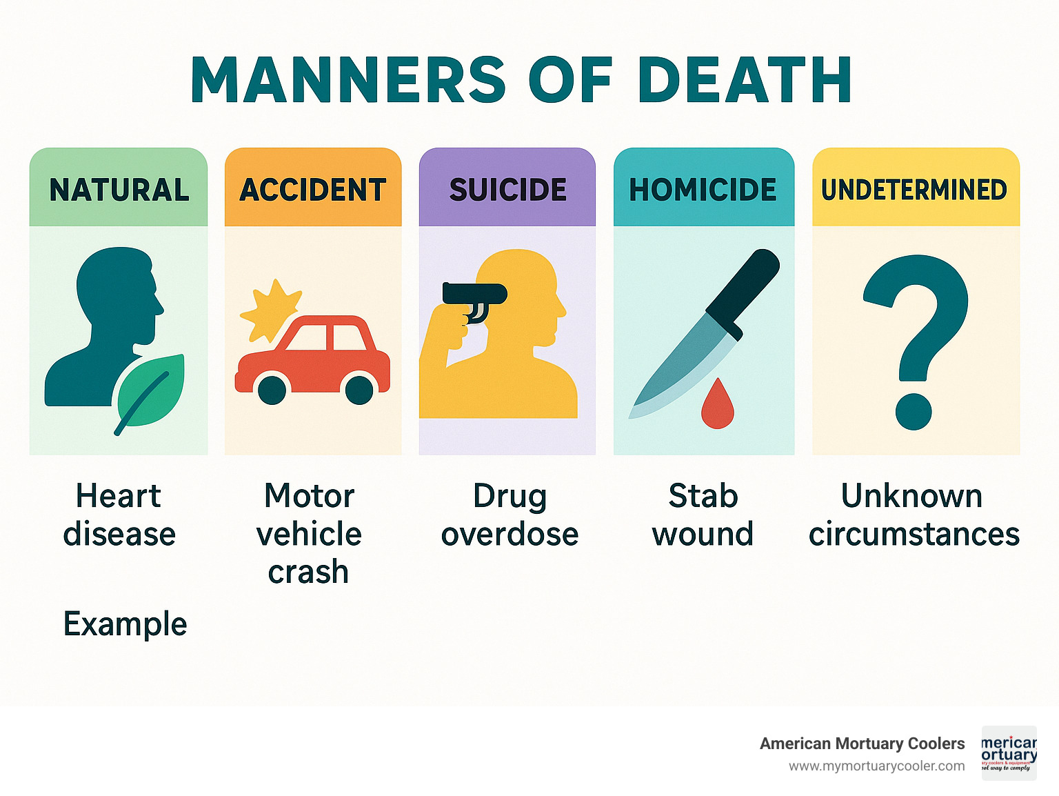 Infographic showing the five manners of death: Natural, Accident, Suicide, Homicide, and Undetermined, with examples of each - Medical Examiner infographic 