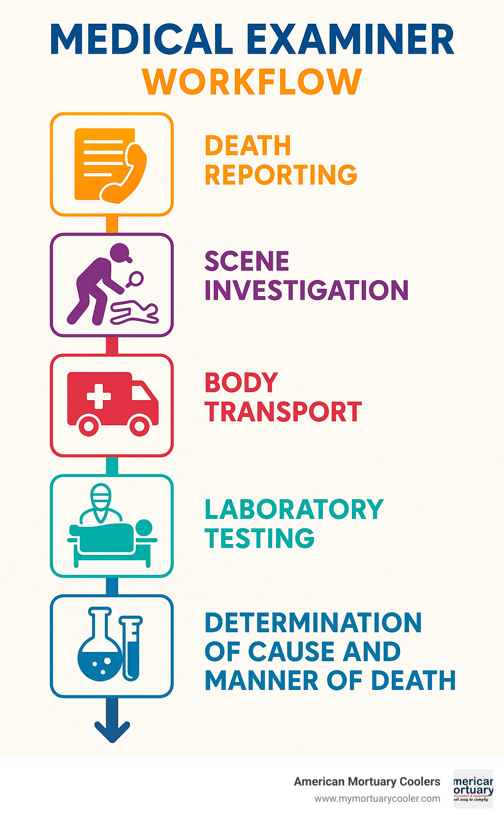 Medical examiner workflow showing death reporting, scene investigation, body transport, examination, laboratory testing, and determination of cause and manner of death - Medical Examiner infographic 