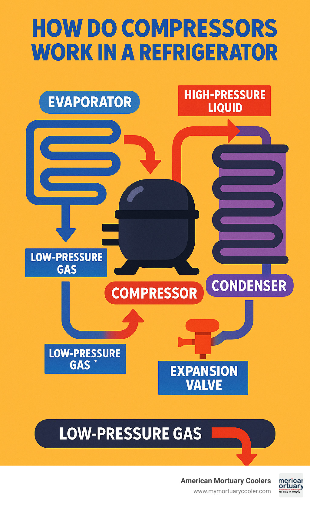 Refrigeration cycle showing compressor function in a closed-loop system with labeled components including evaporator, compressor, condenser and expansion valve, with arrows indicating refrigerant flow and state changes - how do compressors work in a refrigerator infographic 