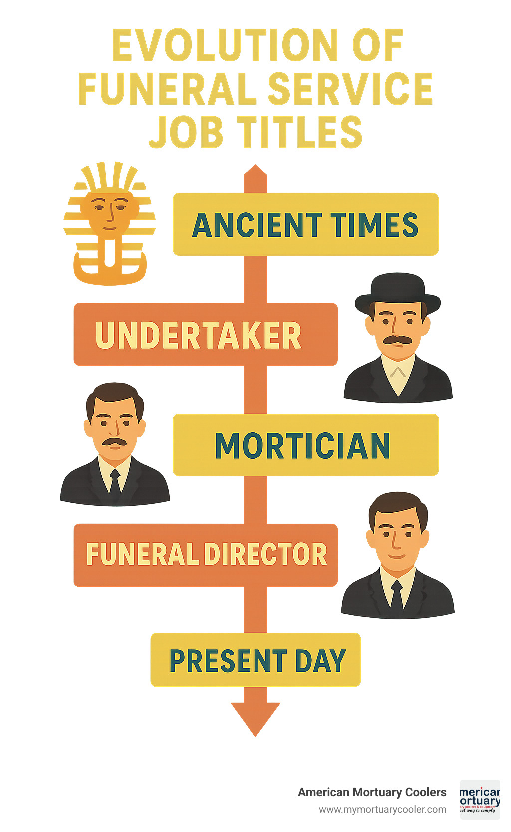 Timeline showing the evolution of funeral service job titles from ancient times to present day - mortician and funeral director infographic 