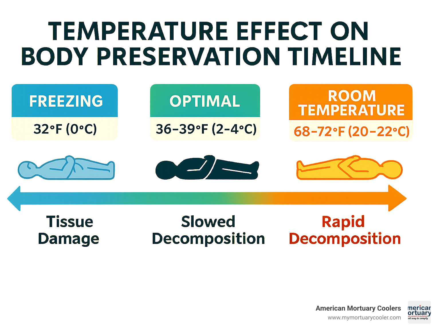Temperature effect on body preservation timeline showing optimal 36-39°F range compared to room temperature and freezing conditions - funeral home body coolers infographic 