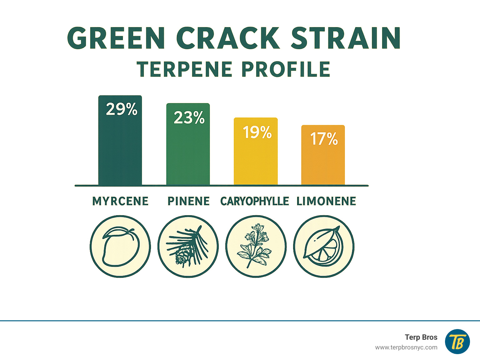 Terpene profile showing myrcene, pinene, caryophyllene and limonene percentages - green crack strain infographic 
