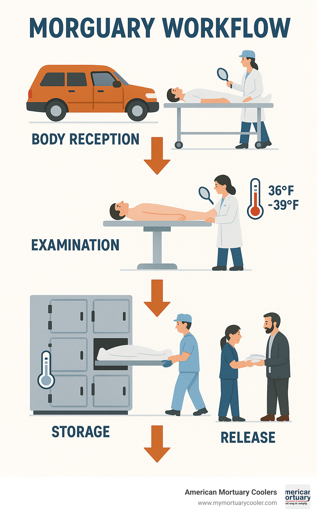Morguary workflow showing body reception, examination, storage, and release processes with temperature control systems - morguary infographic 