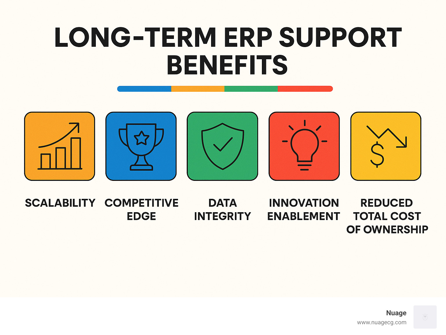 Long-term ERP support benefits chart - erp customer support infographic 